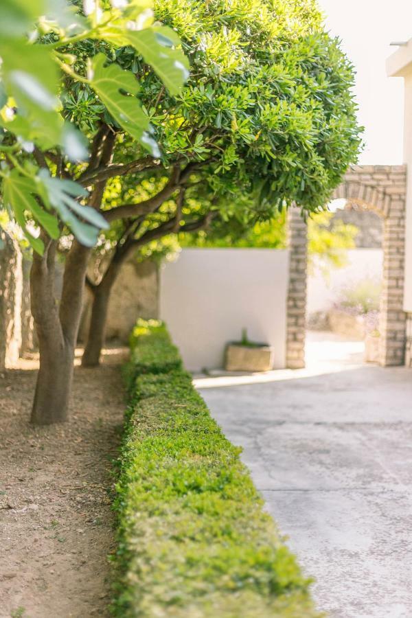 Holiday Home Oliva Βόντιτσε Εξωτερικό φωτογραφία
